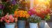 Vasi da fiori o fioriere per balconi all’aperto